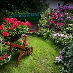 ホテル Antares 4*
